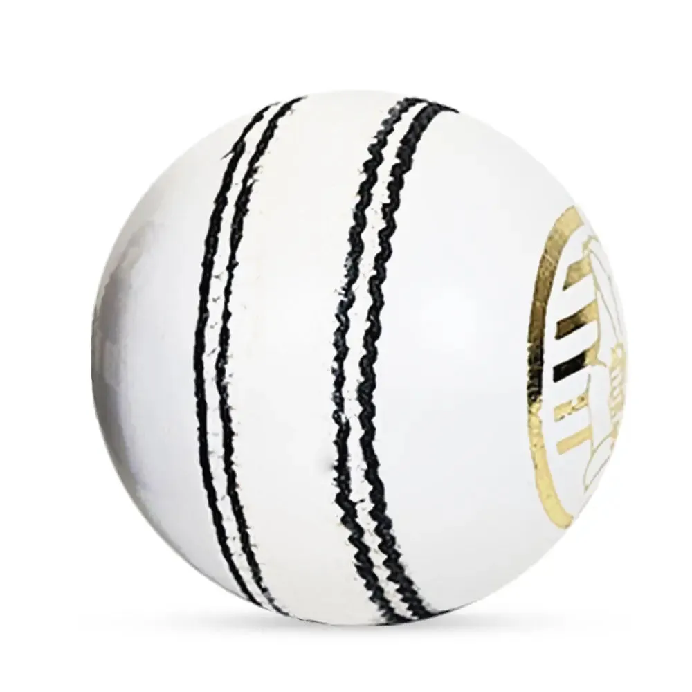Ds D1 Alum Leather Cricket Ball