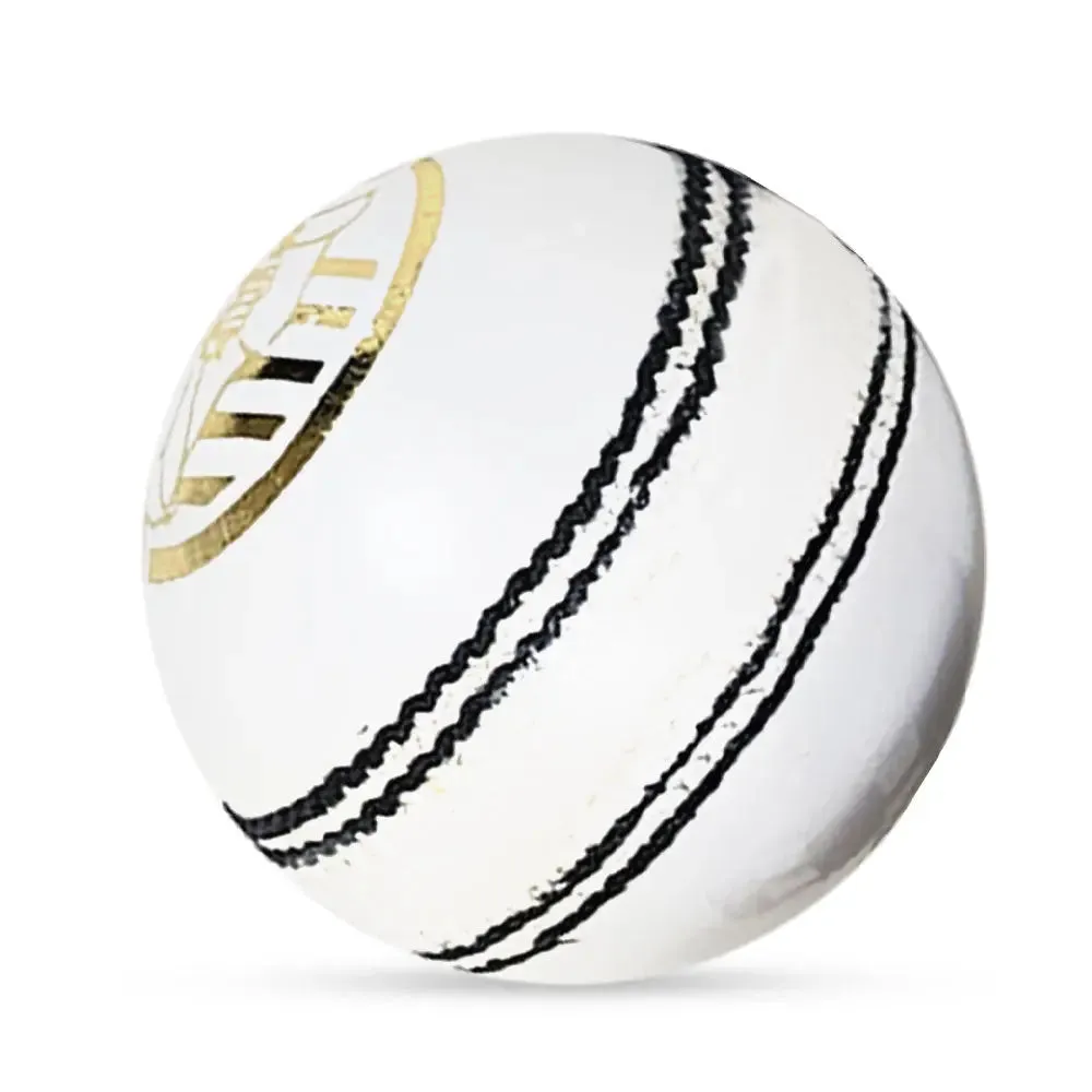 Ds D1 Alum Leather Cricket Ball