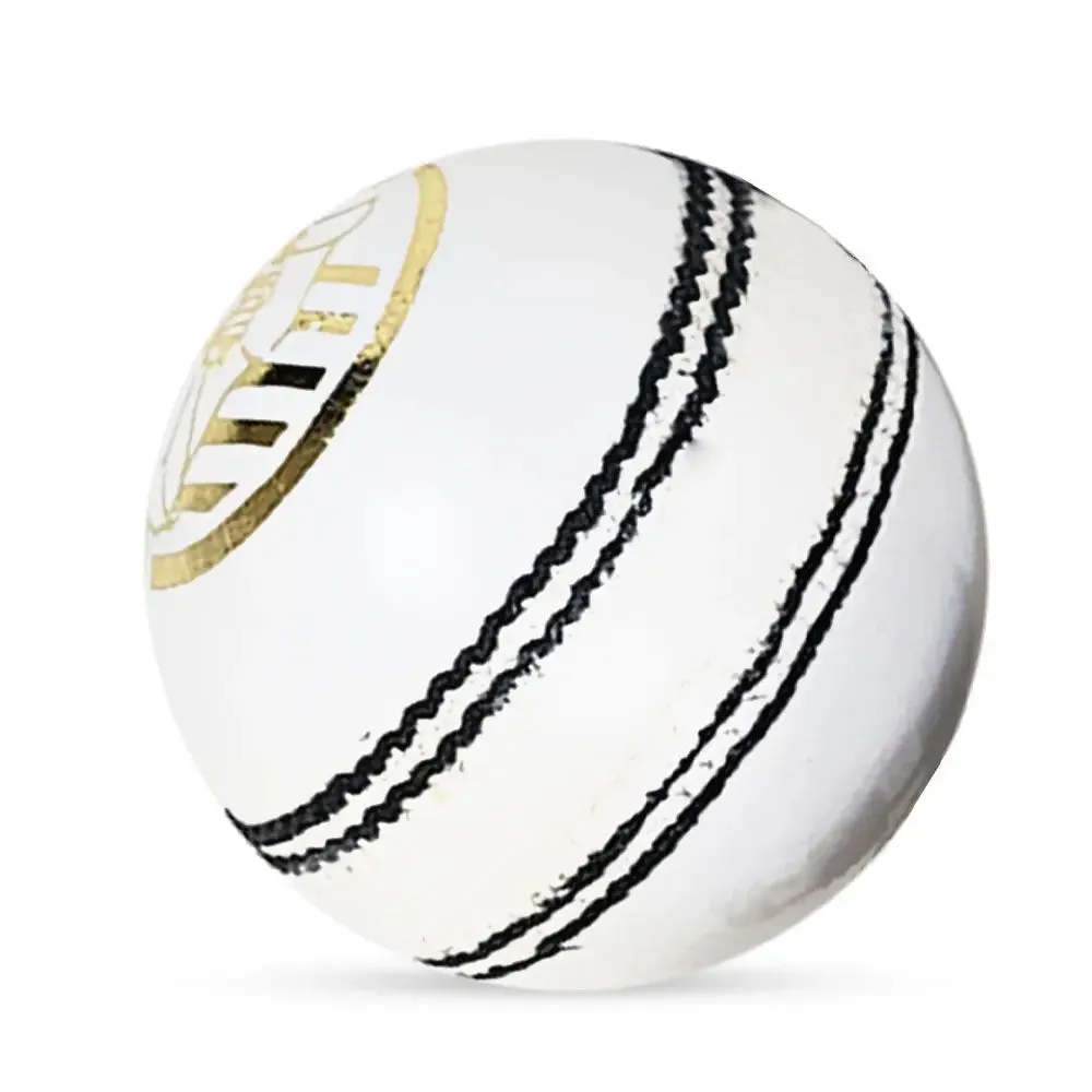 Ds D1 Alum Leather Cricket Ball