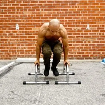 Lebert Fitness Chrome Parallettes