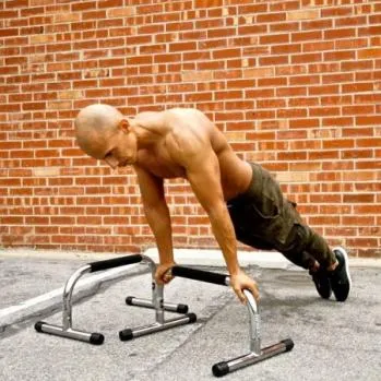 Lebert Fitness Chrome Parallettes